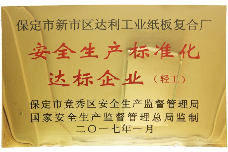 安全生產(chǎn)標(biāo)準(zhǔn)化達(dá)標(biāo)企業(yè)-河北彩色紙板廠(chǎng)家